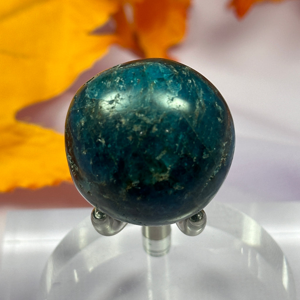 Large Blue and Green Apatite crystal tumble stone 35g SN51773