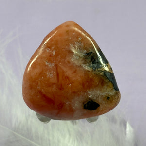Rare large A grade Bustamite tumble stone 30g SN55454