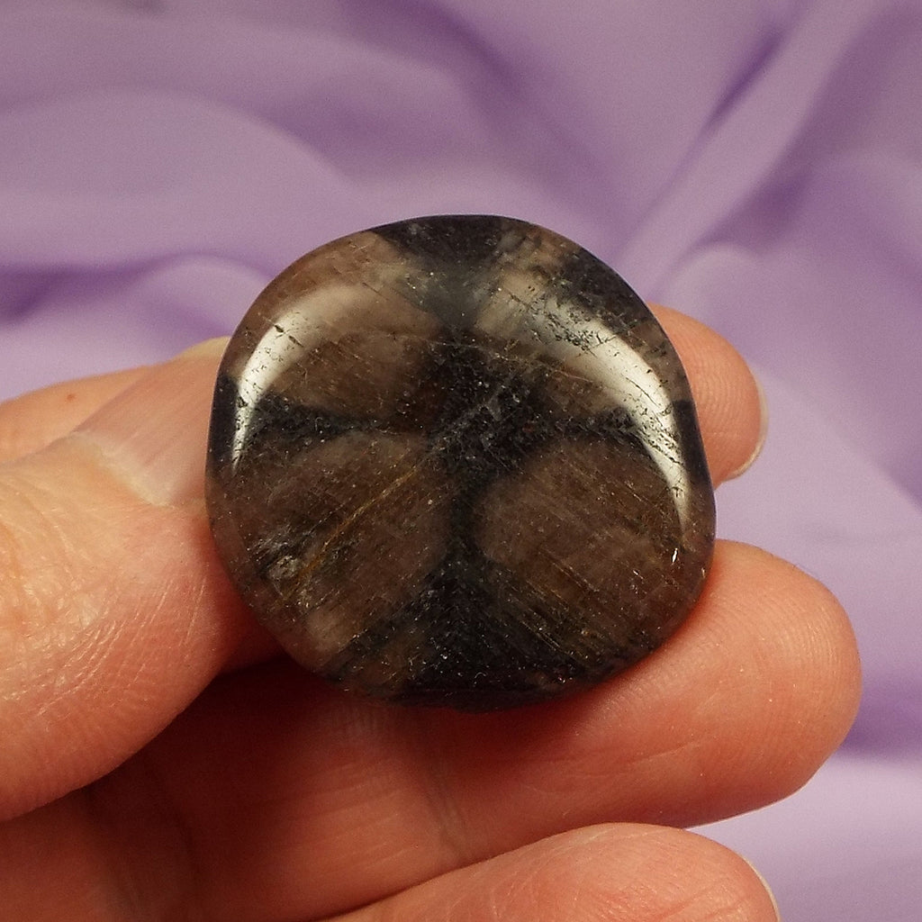 Chiastolite, Fairy Cross smooth stone 12.1g SN55082