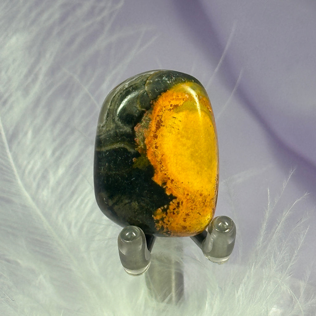 Rare Eclipse Stone tumble stone, Bumblebee Jasper 11.4g SN47856