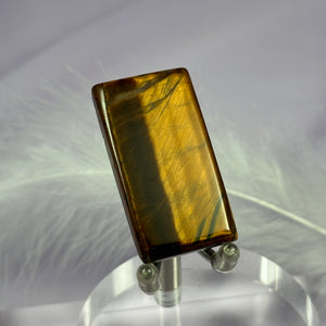 Gold Tigers Eye crystal polished slice 9.5g SN56143