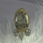 Rare small Golden Rutile and Hematite in Quartz tumble stone 4.2g SN55013