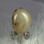 Rare small Golden Rutile and Hematite in Quartz tumble stone 4.4g SN55014