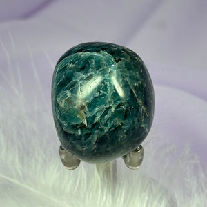 Rare large Green Apatite crystal tumble stone 40g SN48597