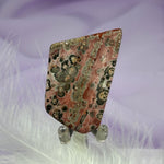 Flat polished piece Leopardskin Jasper crystal 10.0g SN42208