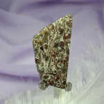 Flat polished piece Leopardskin Jasper crystal 10.6g SN42209