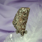 Flat polished piece Leopardskin Jasper crystal 10.6g SN42209