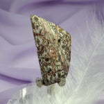 Flat polished piece Leopardskin Jasper crystal 10.6g SN42209