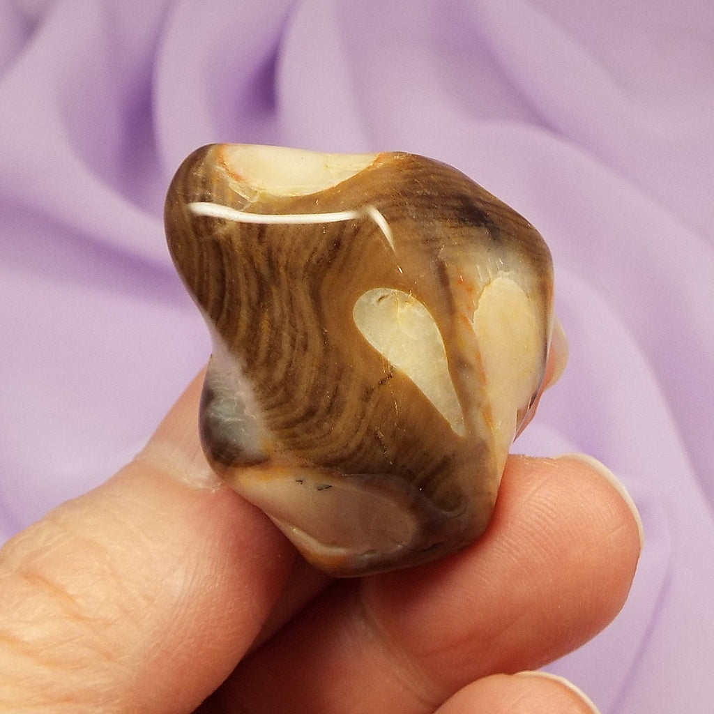 Rare large Peanut Wood tumble stone 20g SN55575