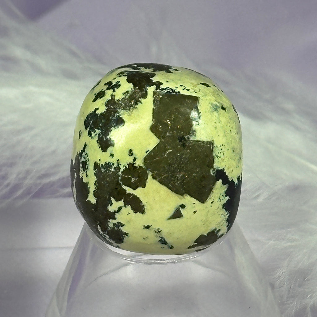 Serpentine with Pyrite tumble stone 22g SN47400