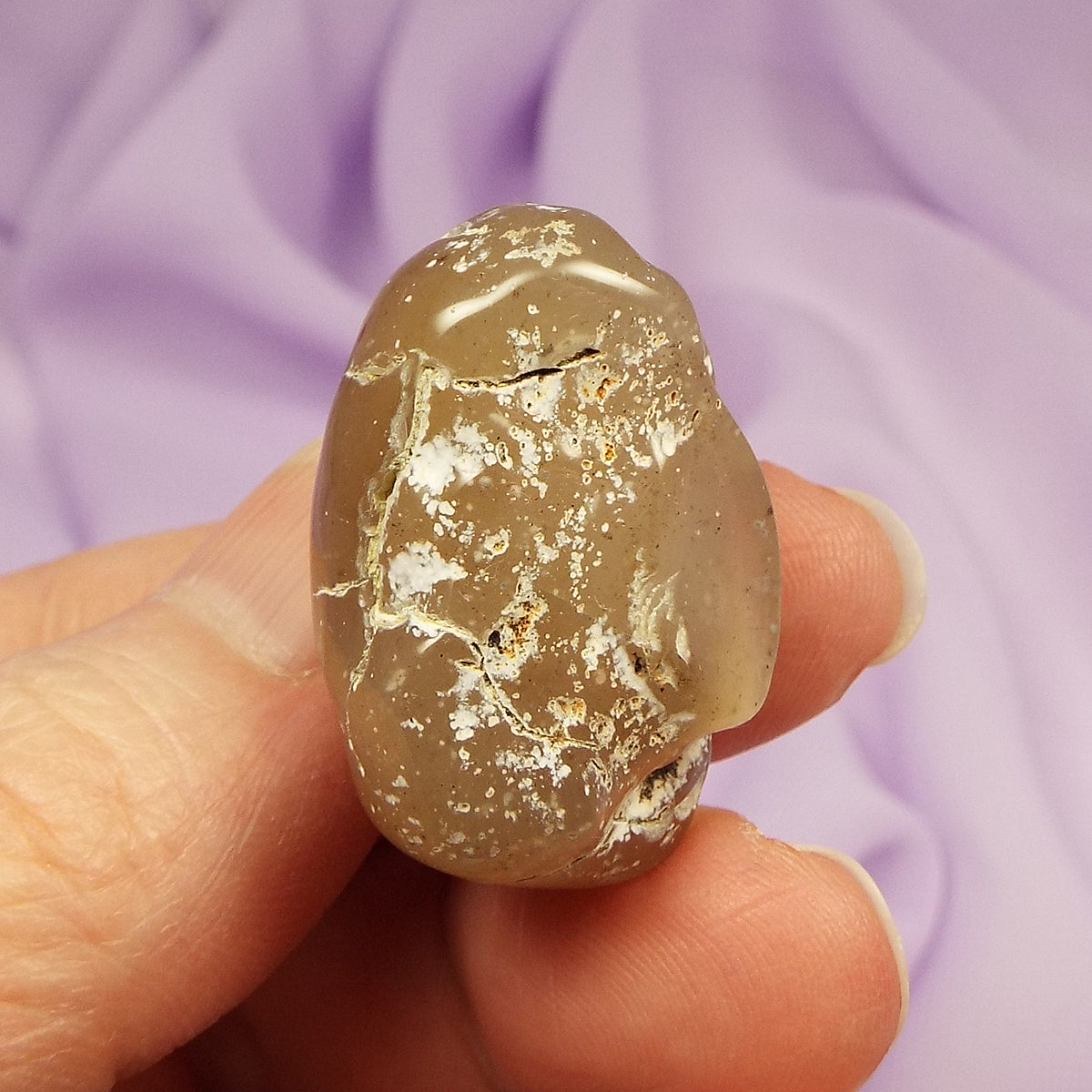 Snakeskin Agate tumble stone 16.6g SN51861