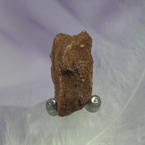 Small natural Stromatolite, Sahara Desert 10.3g SN26304