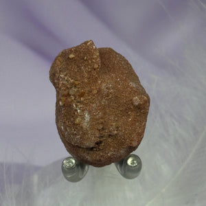 Small natural Stromatolite, Sahara Desert 10.3g SN26304