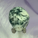 Beautiful Tree Agate crystal tumble stone 16.4g SN43547