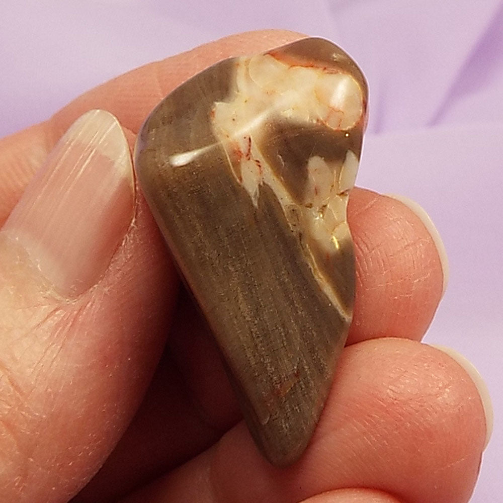 Rare Peanut Wood tumble stone 8.0g SN34082