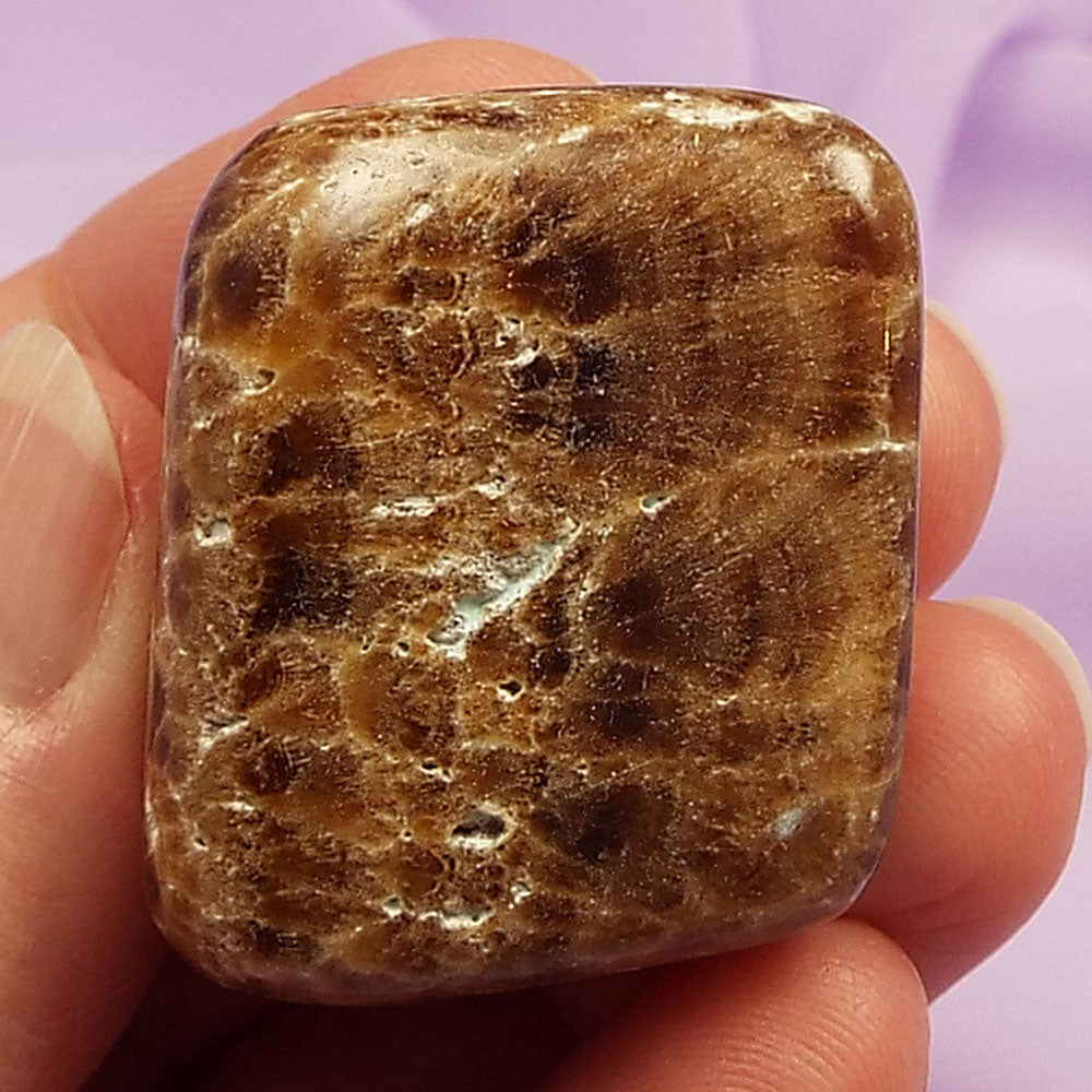 Large striped Chocolate Aragonite, Calcite hand polished stone 31g SN46301