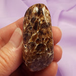 Large striped Chocolate Aragonite, Calcite hand polished stone 30g SN46302