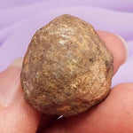 Natural Chocolate Opal, Flashes 'Express Your True Self' 7.7g SN37041