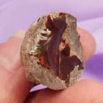 Natural Chocolate Opal, Flashes 'Express Your True Self' 7.6g SN37042