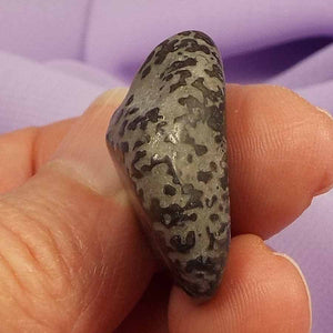 Rare Cotham Marble tumblestone  'Access to Akashic Record' 9.0g SN46944