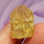 Small Golden Yellow Apatite terminated crystal 'New Ventures' 5.7g SN42707