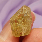 Small Golden Yellow Apatite terminated crystal 'New Ventures' 5.7g SN42707