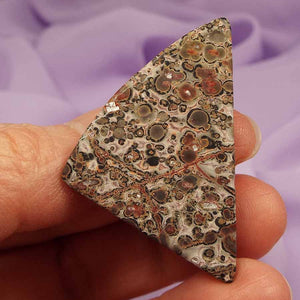 Flat polished piece Leopardskin Jasper 'Attract What You Need' 8.2g SN38547