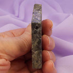 Rare Marcasite in Agate polished slice 62g SN54291