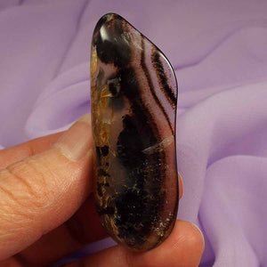 Polished piece Montana Moss Agate 16.0g SN53806