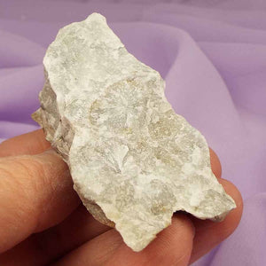Natural piece Wollastonite from Devon, UK 'Fix What's Broke' 60g SN54369